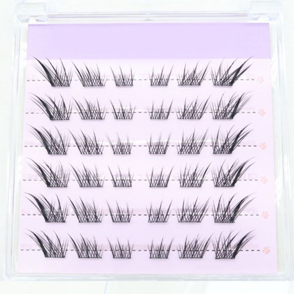 새로운 3D 캣아이 셀프 접착 속눈썹, 가볍고 풍성한  - Eyelash Extension Cat Eye 리뷰 및 가격