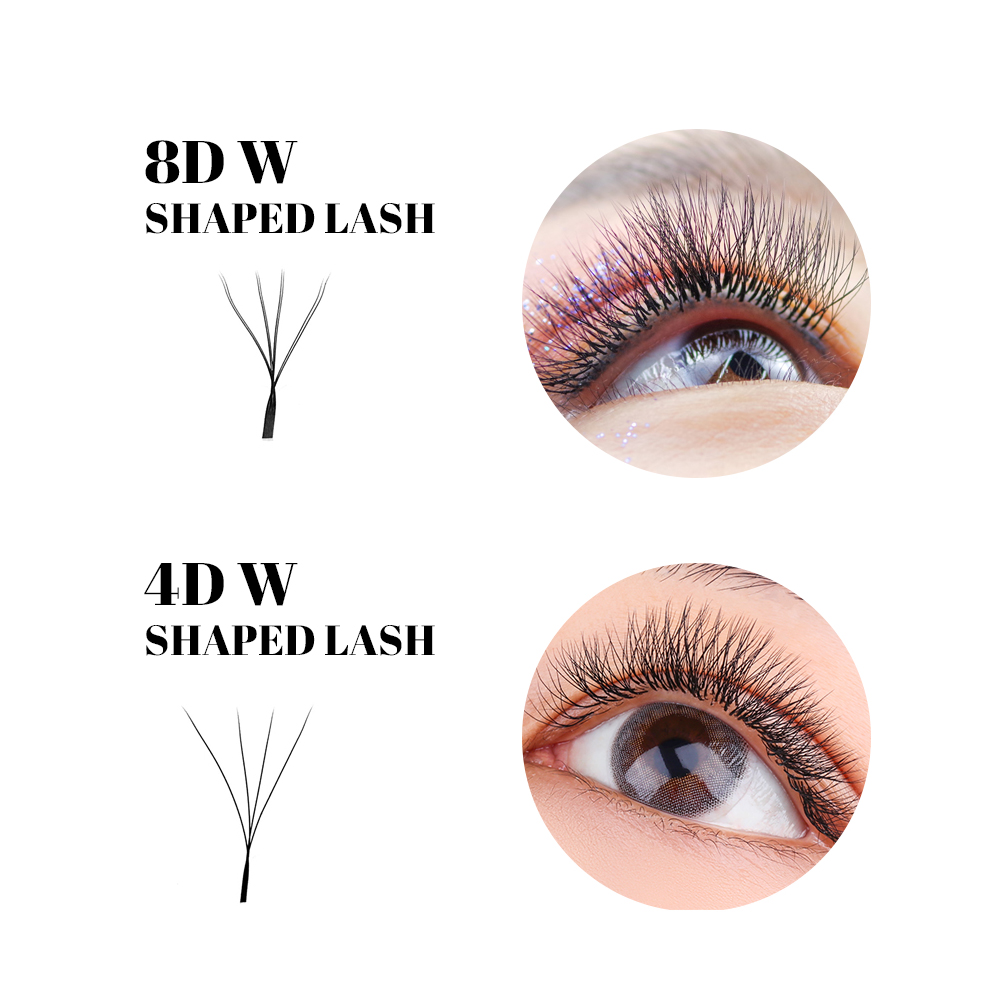 FADVAN W 모양 더블 레이어 속눈썹 8D/6D/1 - Eyelash Extension Fan 리뷰 및 가격